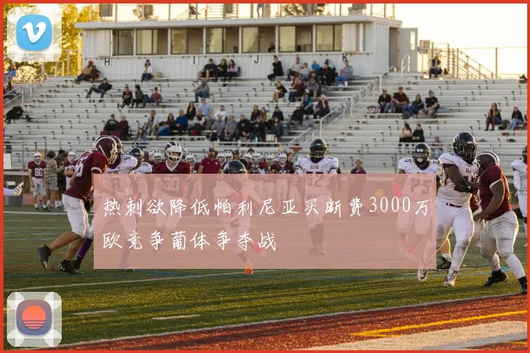 热刺欲降低帕利尼亚买断费3000万欧竞争葡体争夺战