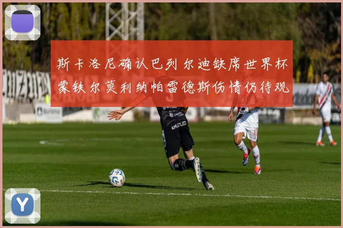 斯卡洛尼确认巴列尔迪缺席世界杯蒙铁尔莫利纳帕雷德斯伤情仍待观察